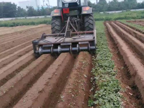 胡蘿卜專用起壟機(jī)